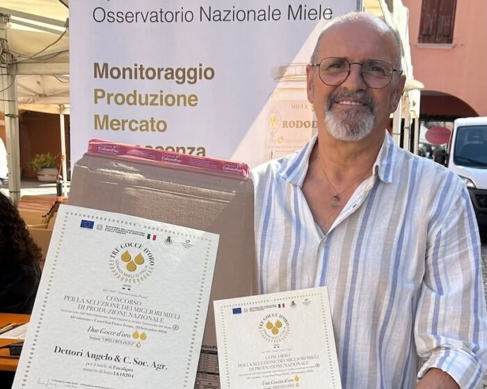 descrizione immagine